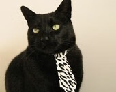 初心不改:老将的坚持与传承故事