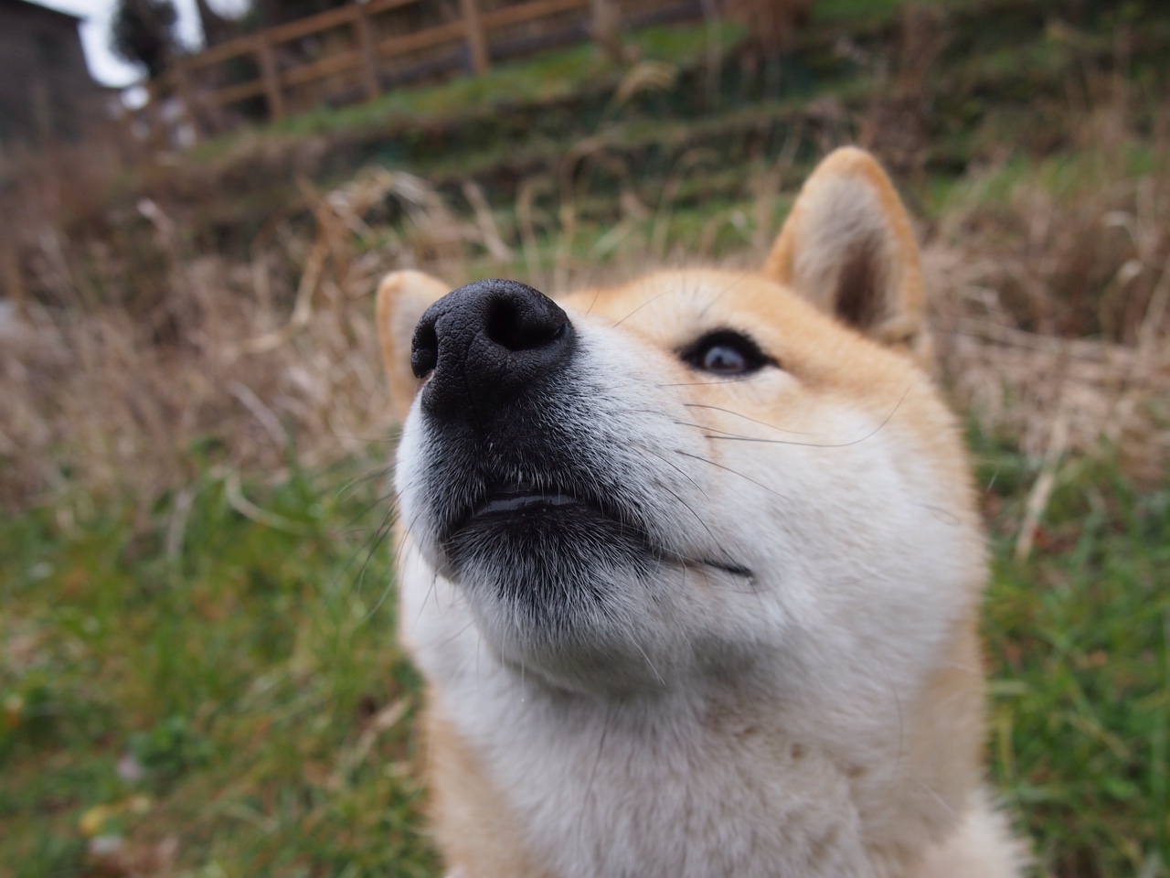 明日方舟“未来之战”联盟赛火爆射中一线希望，明日方舟下一个联动
