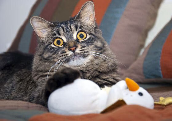 逆境中寻找希望：欧冠中的“战斗精神”故事，欧冠最伟大的逆转