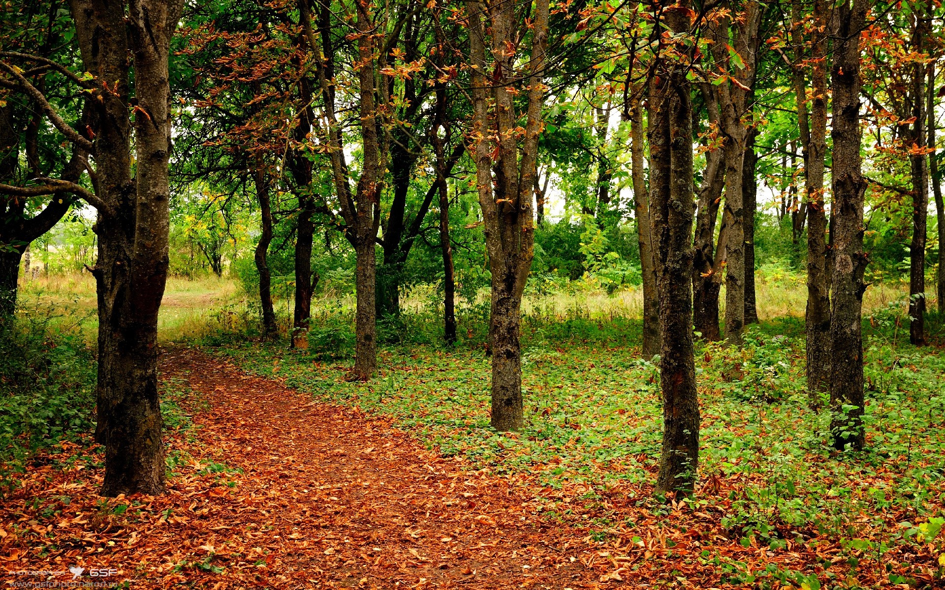 RNG选手训练成果显著,rng训练赛