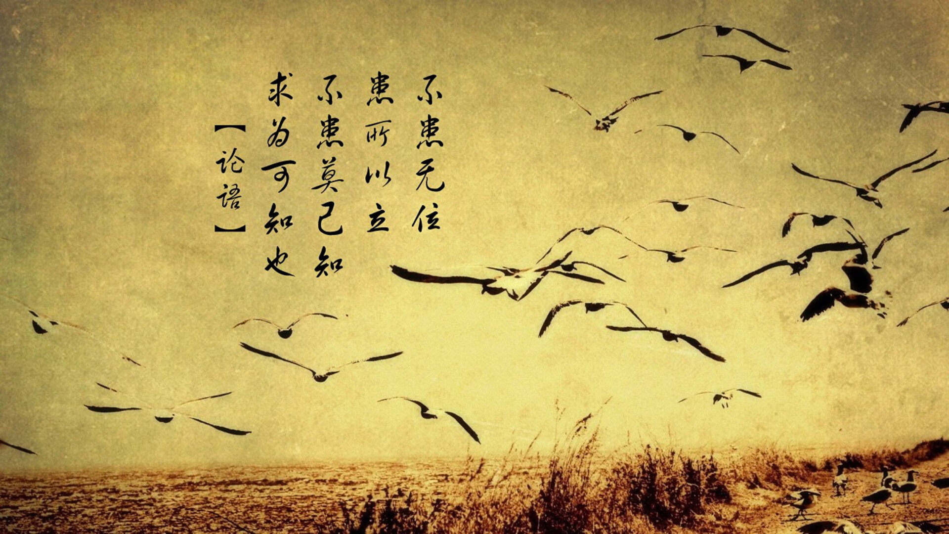 哥伦比亚马术协会建立马匹基因数据库,促进马匹选育与训练。,哥伦比亚歌手马鲁玛