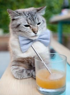 蓝月亮客场负于南安普顿，状态堪忧，蓝月亮(中国)有限公司