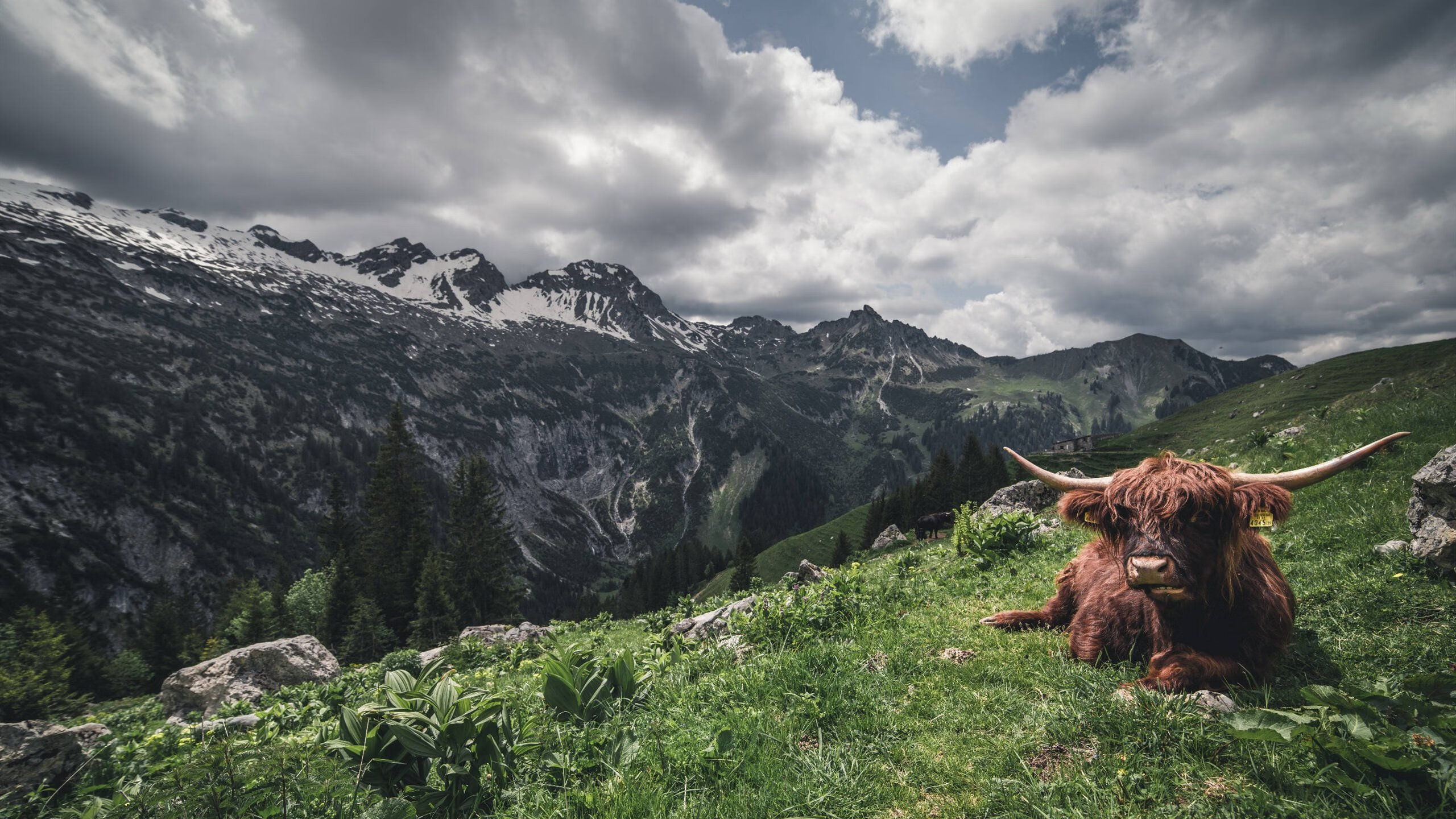 世界青少年马拉松劲爆开跑,燃烧希望,追逐梦想,2021青少年马拉松