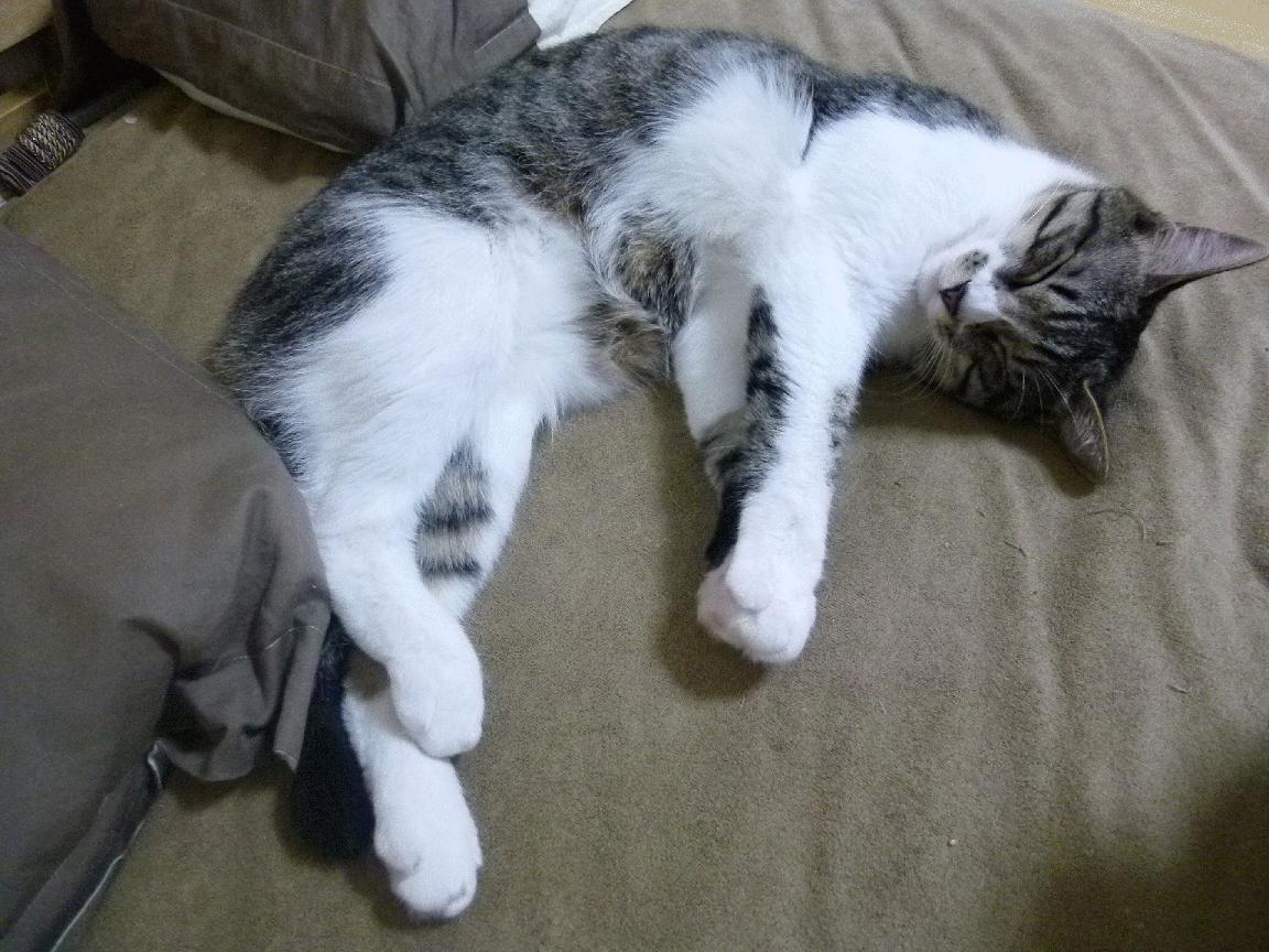 青少年户外运动安全教育体系建设方案，青少年户外体验式教育