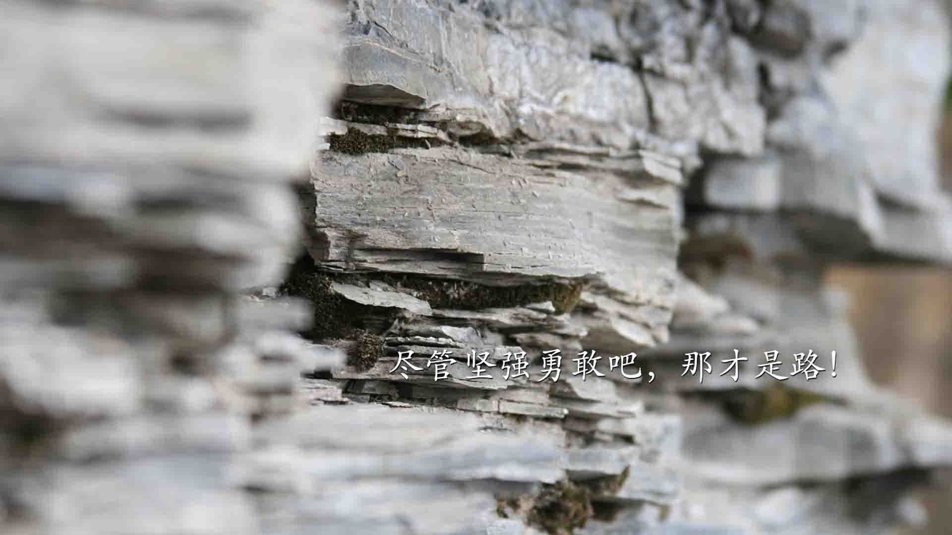 青少年户外运动安全教育体系建设方案，青少年户外体验式教育