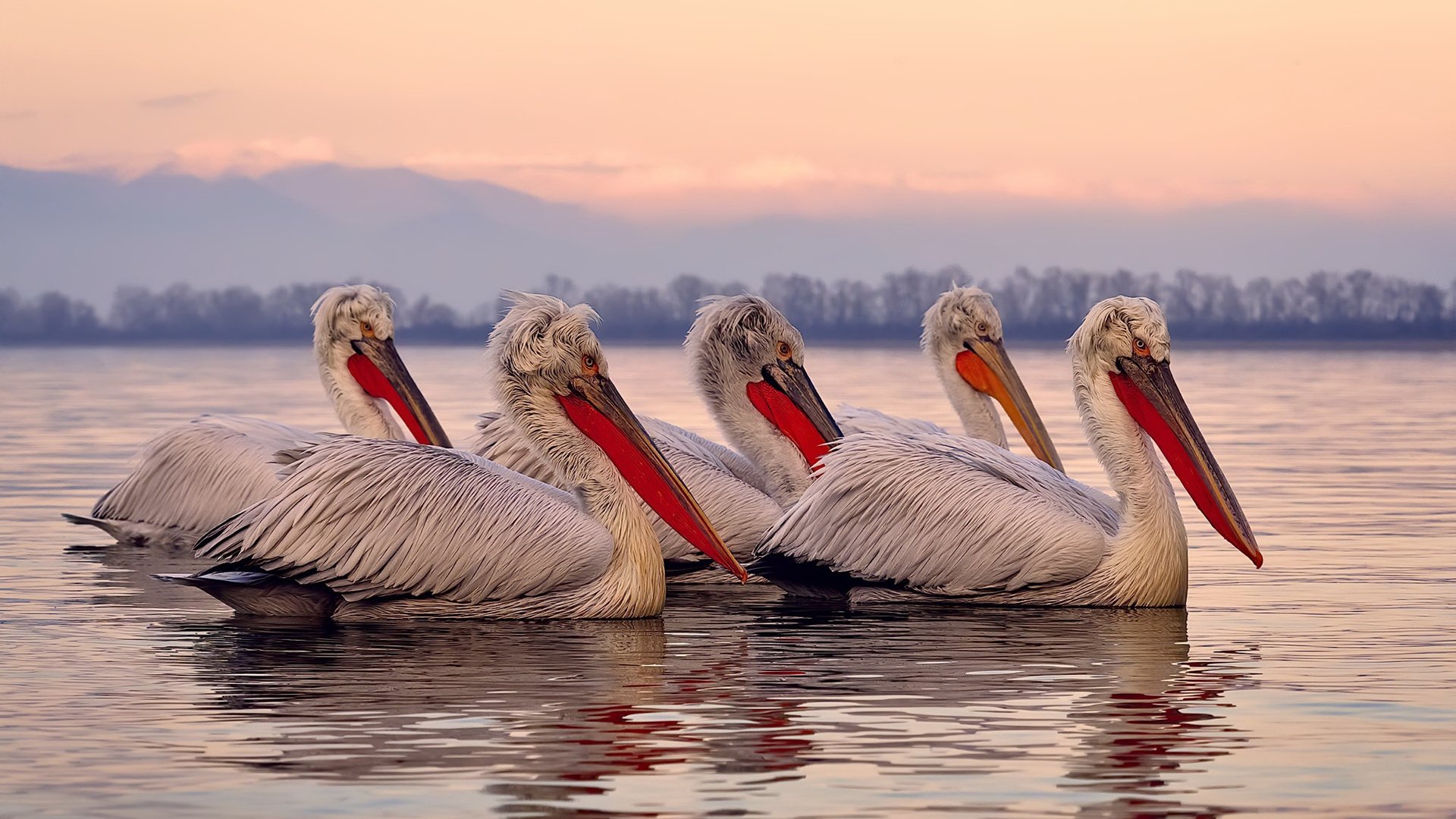 更衣室庆祝冠军时刻全记录，更衣室宣传标语图片