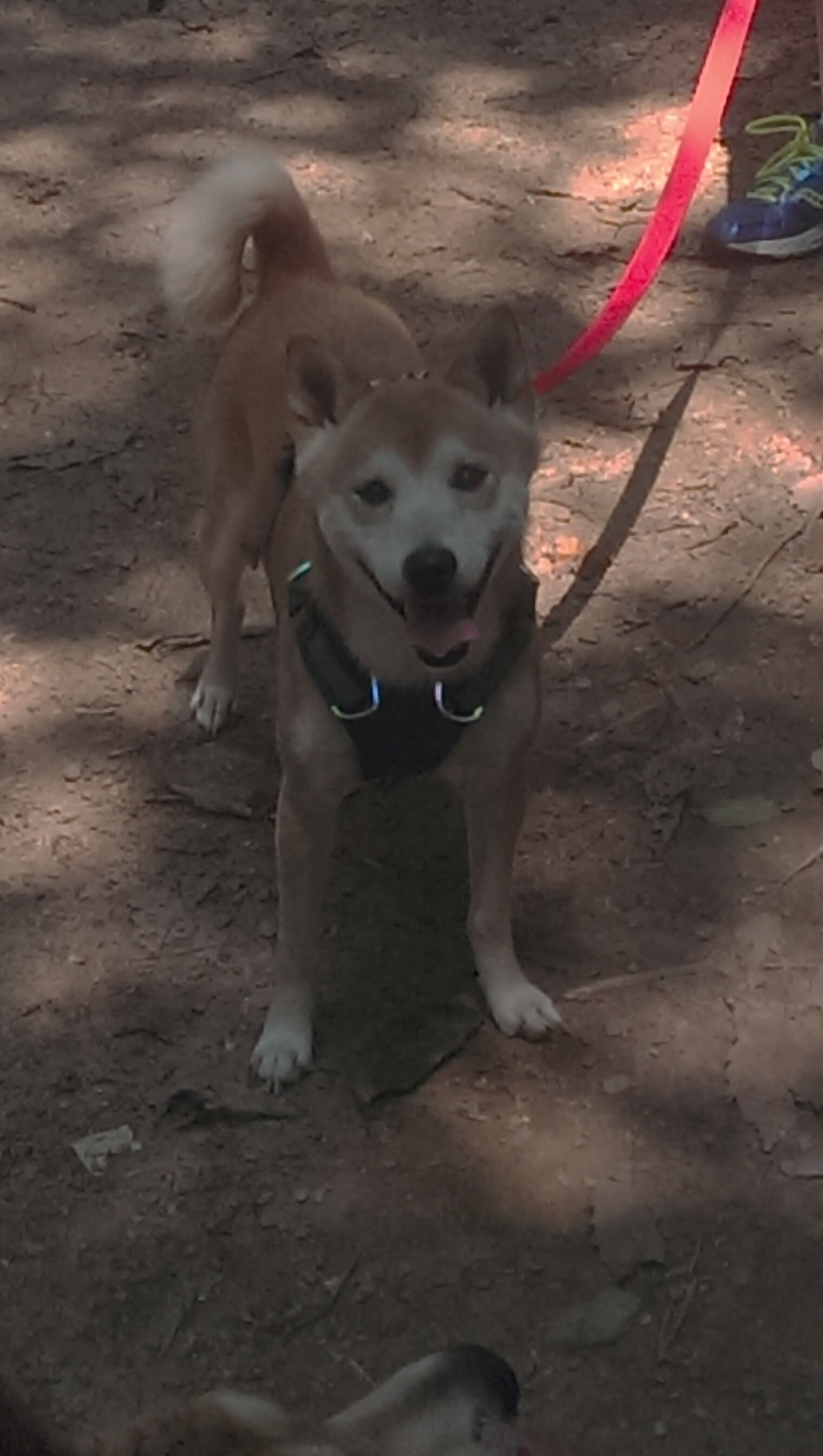 球队精神面貌需进一步提升,球队精神面貌需进一步提升什么