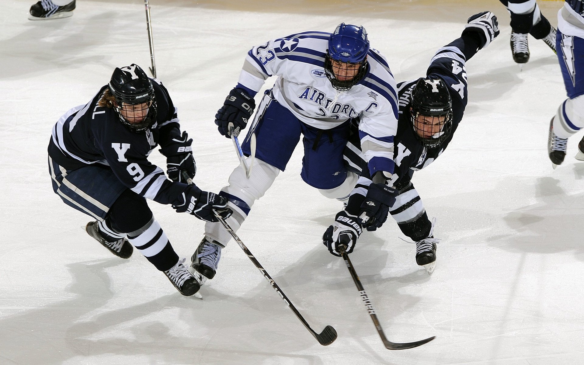 自由式滑雪赛事观赏性持续走高，自由式滑雪在哪个场馆