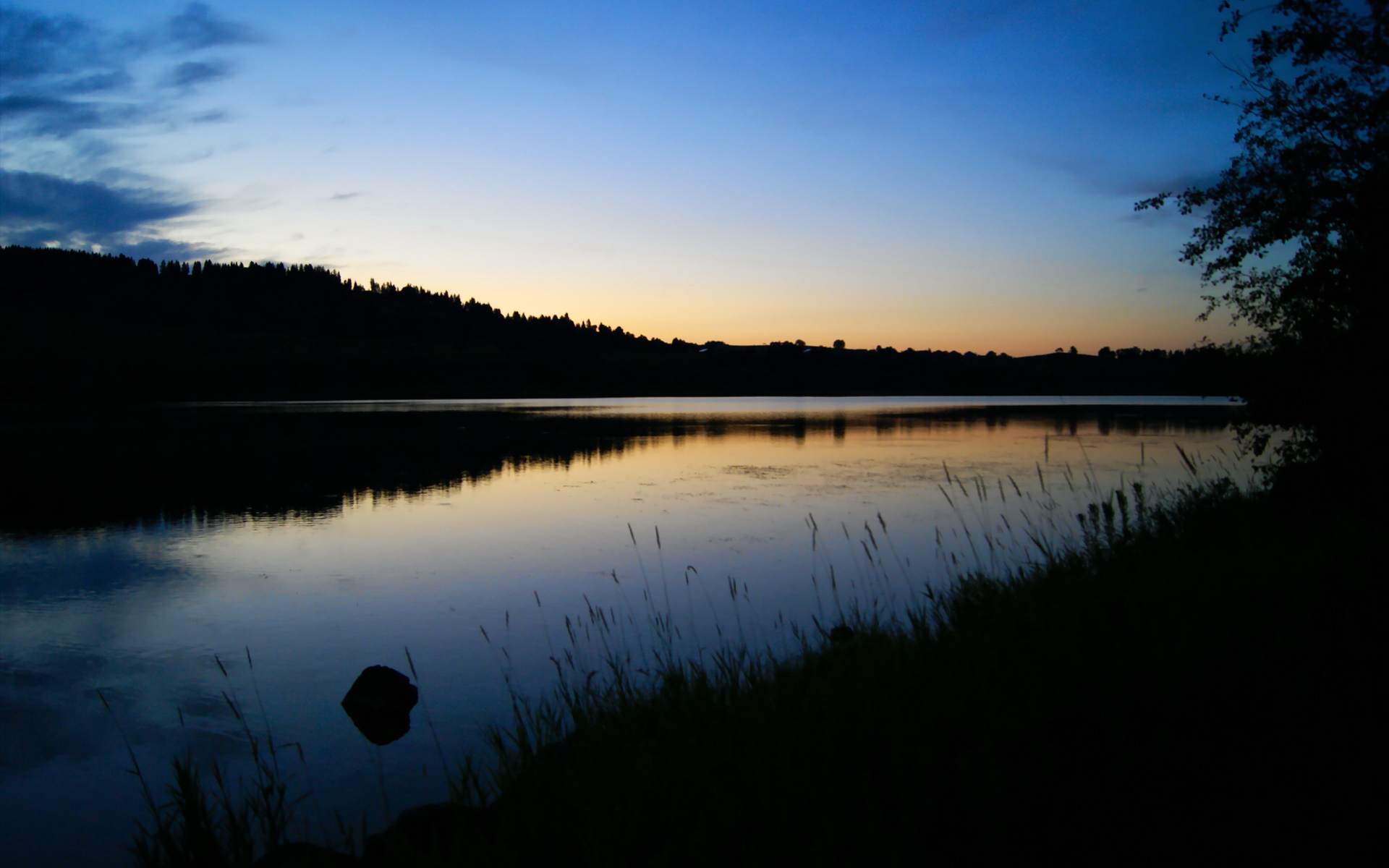 “阿根廷橄榄球未来之星：马丁·高尔西的全面崛起”