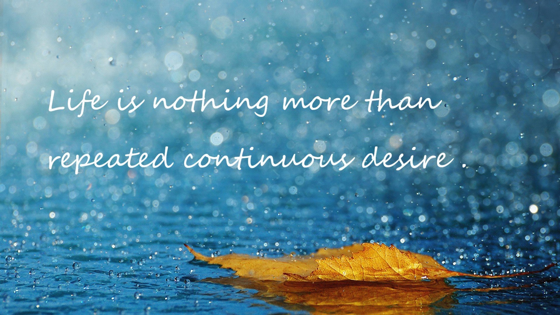 篮网锋线新星在训练中多次完成关键封盖，nba篮网中锋